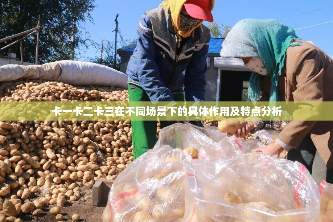 卡一卡二卡三在不同场景下的具体作用及特点分析